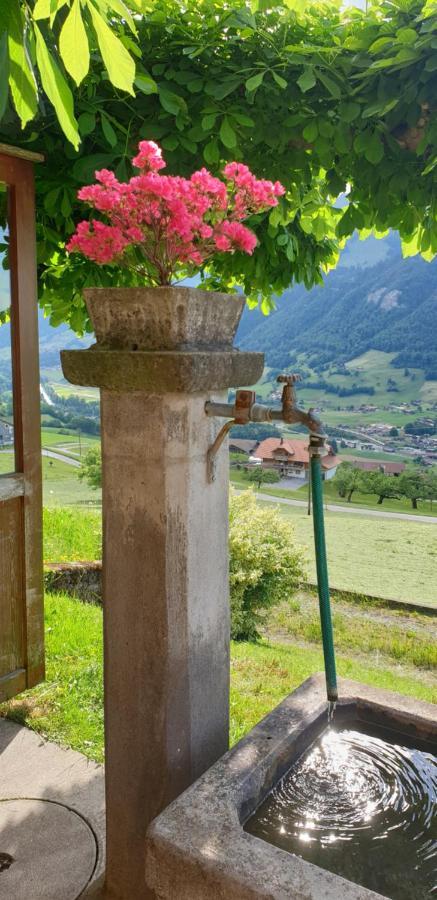 Gasthof Engelberg Scharnachtal 외부 사진